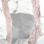 Elina Katara | Roots (detail) | 2021 | watercolour and gouache on canvas