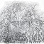 Elina Katara | Thicket | 2024 | pencil on paper